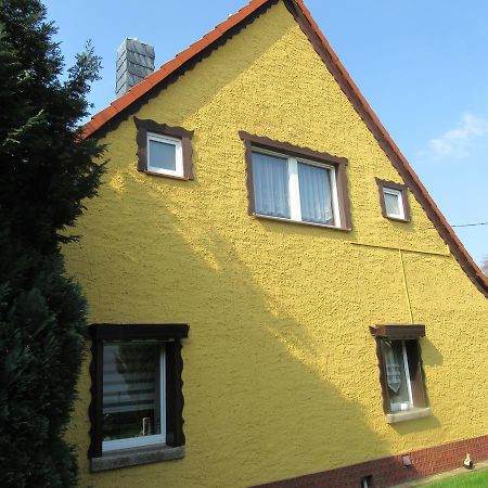 Ferienwohnung Sommer Friedrichsbrunn Exteriör bild
